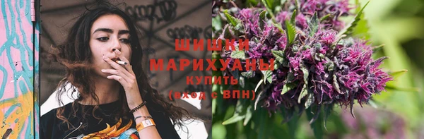 молекула духа Вязники
