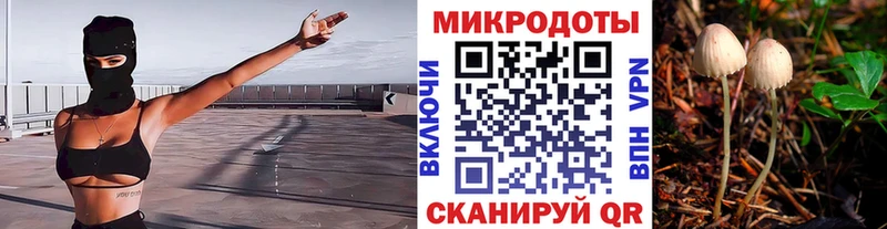 Псилоцибиновые грибы мухоморы  Купить где  Котовск 