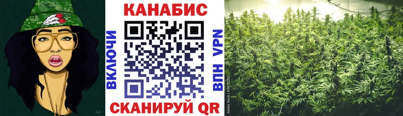 Канабис White Widow  Купить закладки  Котовск 